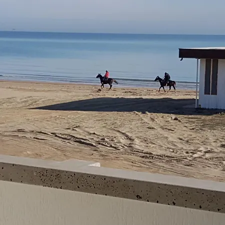 Casa Sul Mare Da Vinci Silvi Marina